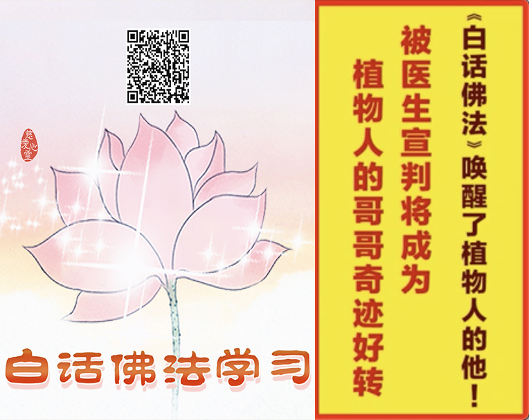 4.  《白话佛法》唤醒了植物人的他！被医生宣判将成为植物人的哥哥奇迹好转