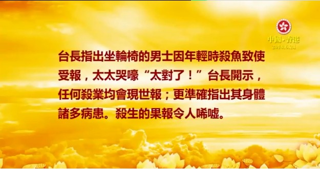 228  视频：年轻的杀业（杀过鱼）导致做轮椅--201406 香港